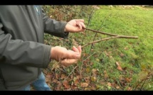 Sécheresse : Et si on mobilisait nos sourciers !