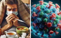 Démystifier la Grippe et le Syndrome Grippal : Dialogue avec une amie Infectiologue