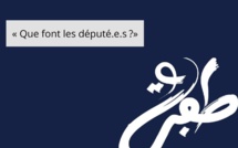 TAFRA : « Que font les député.e.s ?»