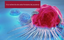 Le Vieillissement de l'Homme : Nouvelles Perspectives grâce à la Recherche sur les Cellules CAR T