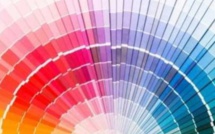 Couleurs : Comment les nuances influencent nos émotions