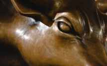 Le réveil de Phalaris