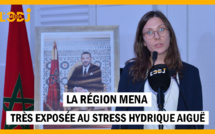 Veronika Ertl : La région Mena très exposée au stress hydrique aiguë