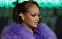 Rihanna donne un concert privé en Inde