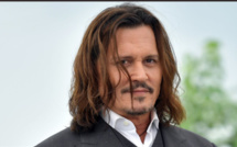 Le photomontage de Johnny Depp et Robert Downey Jr. sur Instagram 