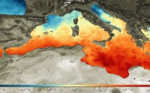 Journée mondiale de l'eau :  la région méditerranéenne, un point chaud du changement climatique,