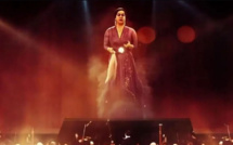 L'avènement des hologrammes dans les festivals : une révolution dans le divertissement