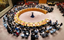 Gaza : le Conseil de sécurité de l'ONU adopte une résolution en faveur d'un plan de cessez-le-feu