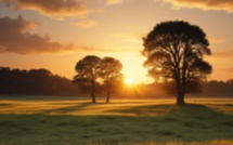 La Parole est d'Argent, le Silence est d'Or