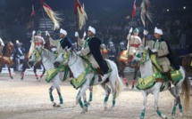 L’élevage équin au Maroc : innovation et défi