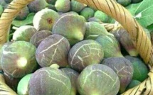 Très cher Karmouss , Comment la figue est devenue un fruit de luxe !?
