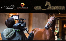 10ème Prix de Photographie Cheikh Mansour Ben Zayed Al Nahyane : focus sur le Pur-sang arabe