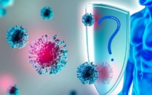 Les Novid : Les Mystérieux Immunisés Contre la Covid-19