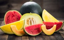 Le Maroc s'impose comme le principal exportateur de melons en Espagne malgré la crise hydrique