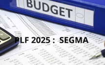 PLF 2025 : Performances globales des SEGMA 