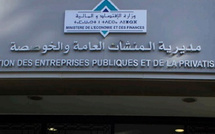 Le Défi de la Rentabilité des EEP sous le PLF 2025