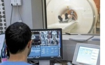 Pour un système de santé plus efficace : réduire les examens biologiques et radiologiques inutiles