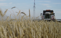 Un million de tonnes de blé pour une alliance stratégique
