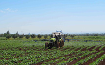 Investissement record dans l’agriculture marocaine