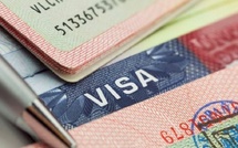 Visa refusé, rêve brisé : des Marocains piégés par une escroquerie massive