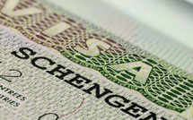 Réseau de trafic de visas : une fraude bien rodée entre le Maroc et le Portugal
