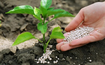 Phosphates marocains : 4,6 M$ exportés vers le Pérou en janvier