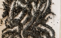 ​Chez le psy : Ce que le feu a laissé et quand les cendres deviennent langage