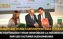 Convention INRA x FOLEA : Un partenariat pour renforcer la recherche sur les cultures oléagineuses