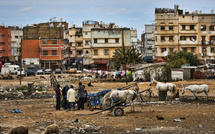 HCP : Forte baisse de la pauvreté au Maroc