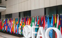 Sécurité alimentaire : le Maroc garde sa place à la table des grands