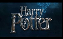 Harry Potter, la série : Dominic McLaughlin reprend la baguette magique