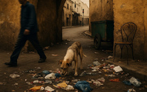  Quand la darija se fâche : les mots qui giflent l’incivisme