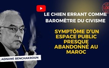 [Vidéo] : ​Les chiens errants comme baromètre du civisme au Maroc