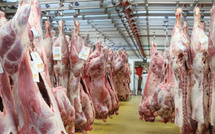 20.000 Tonnes de viande brésilienne : Le Maroc dit oui sans taxes