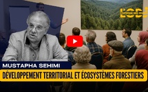 Développement territorial et écosystèmes forestiers