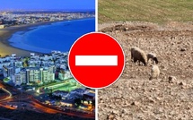 Voilà pourquoi SM le Roi ne veut pas d’un Maroc à deux vitesses