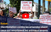Rabat : Manifestation contre les amendes visant ceux qui nourrissent les animaux errants