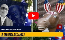 [vidéo] : La Tbourida des ânes !