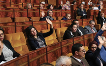 Réforme électorale au Maroc : entre exigences de représentativité et défi démocratique