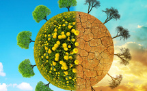 Adaptation climatique : l’appel de l’Afrique au monde