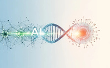 Grâce à l’IA, on peut épargner la chimiothérapie et ses complications aux femmes de plus de 65 ans atteintes du cancer des soins