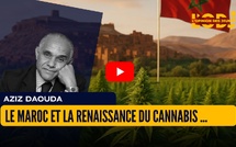 Le Maroc et la Renaissance du Cannabis : Histoire, Régulation et Enjeux Économiques Actuels