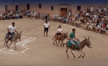 Quand la légèreté rassemble : La magie virale d’une course d’ânes à Ouarzazates