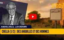 Chella (1/3) : Des anguilles et des hommes
