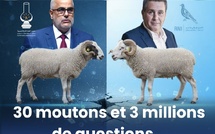 30 moutons et 3 millions de questions : la politique marocaine en clair-obscur
