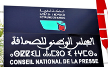 Autorégulation ou dilution ? Une analyse critique du projet de loi sur le CNP