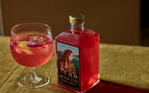 Le boom des boissons adaptogènes : quand ton latte devient ton coach bien-être