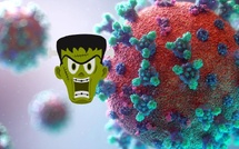 ​Variant « Frankenstein » : info, rumeur et réalité