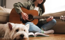 Pourquoi certains sons font-ils vibrer nos compagnons à quatre pattes ?