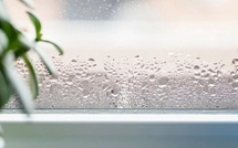 Humidité : quand vos murs prennent l’eau, voici comment riposter